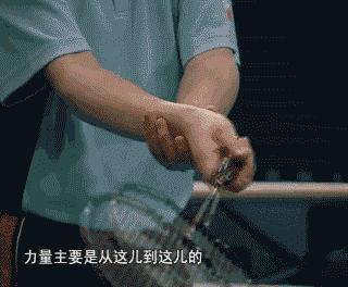 金秋诗画（学羽精华33.发力技巧）