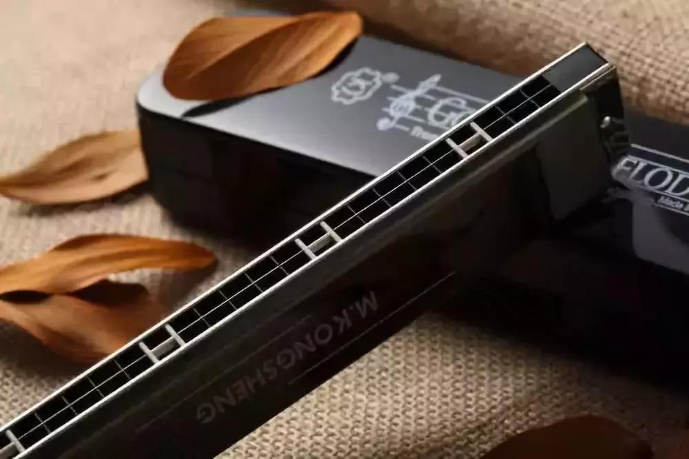 半音阶口琴和十孔口琴哪个更难学,新手学口琴入门零基础教程