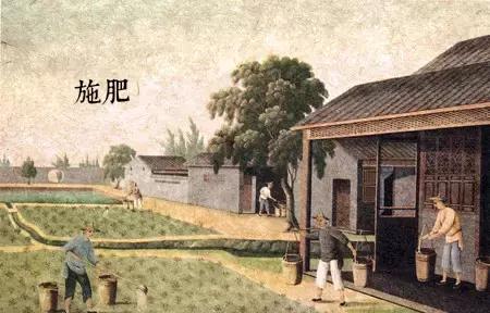 中国古代茶画100幅 (中国茶画100幅)