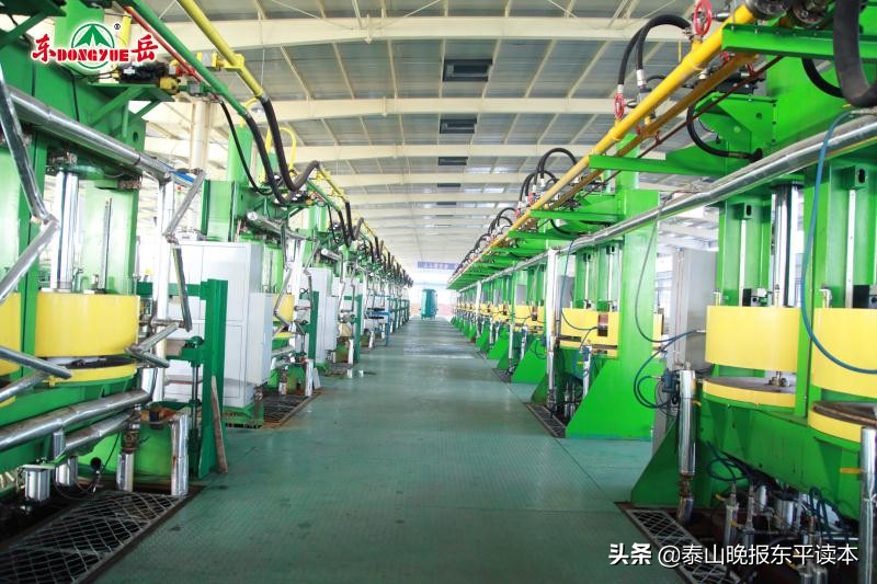 泰安市政府任命张涛,市政府张涛