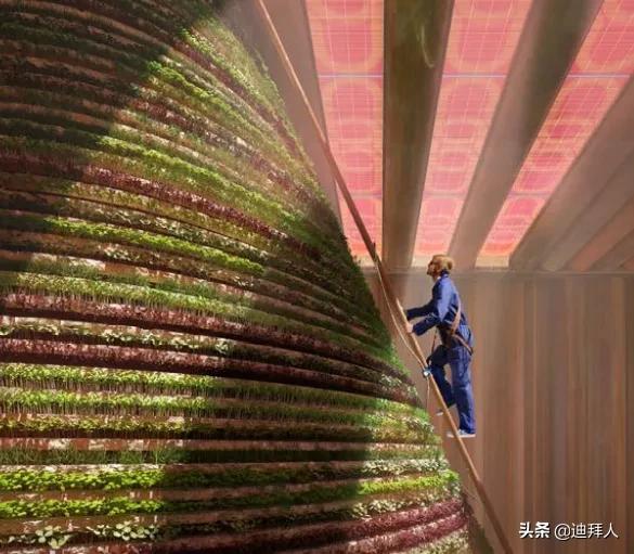 迪拜旅游攻略必玩景点推荐一下,迪拜旅游百科知识大全最新