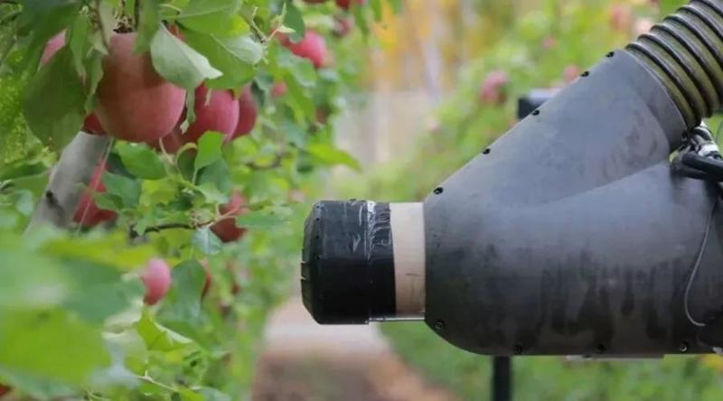 推广农药科技新产品五项措施,有机农业植保的政策