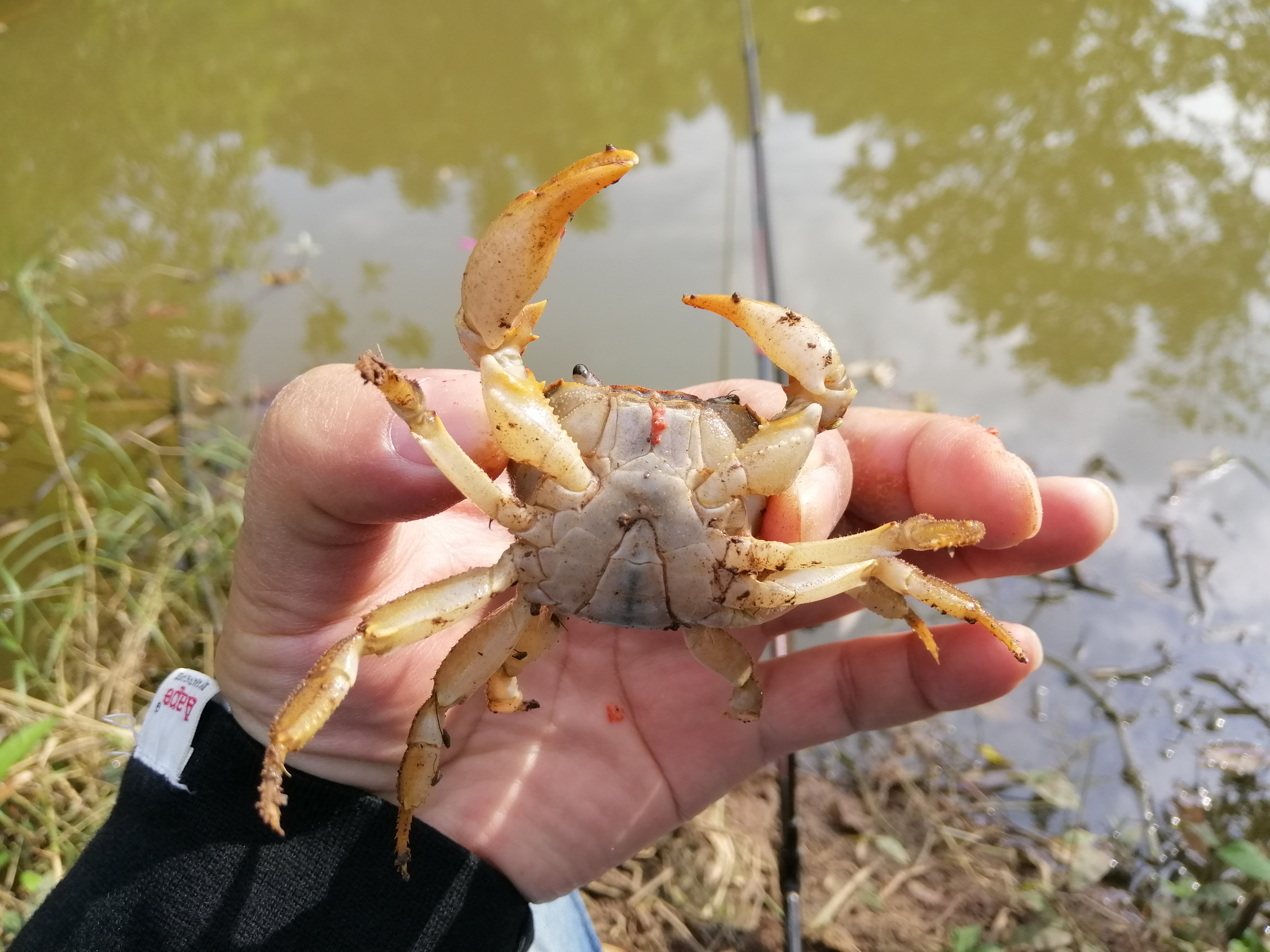 冬季小河沟野钓冰钓,春季小河钓鱼线组搭配