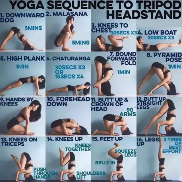 哈他正位瑜伽体式串联90分钟编排,哈他瑜伽体式分解