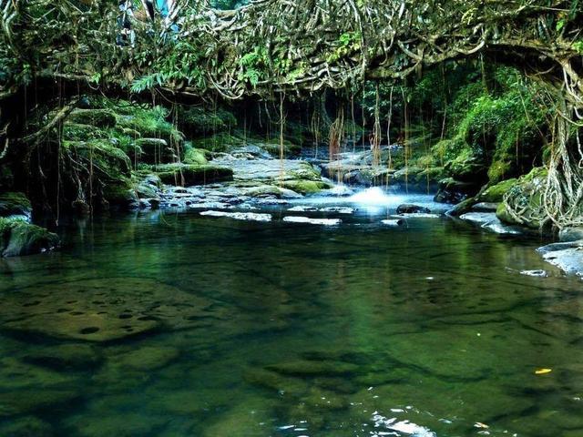 印度公认最干净的村,印度最干净的村落