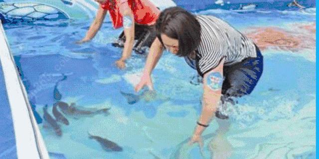 捕鱼大作战网易视频,捕鱼大作战新闻