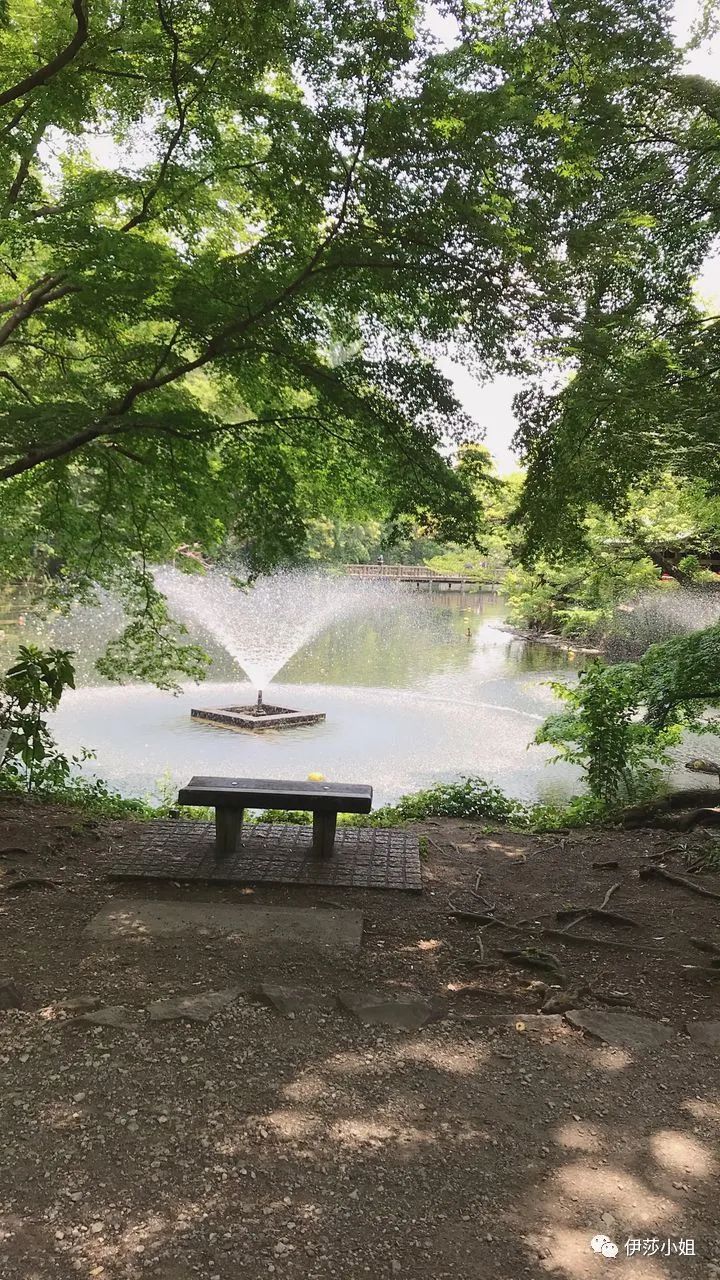 不看樱花能不能进武大,看樱花不一定要去日本的说说
