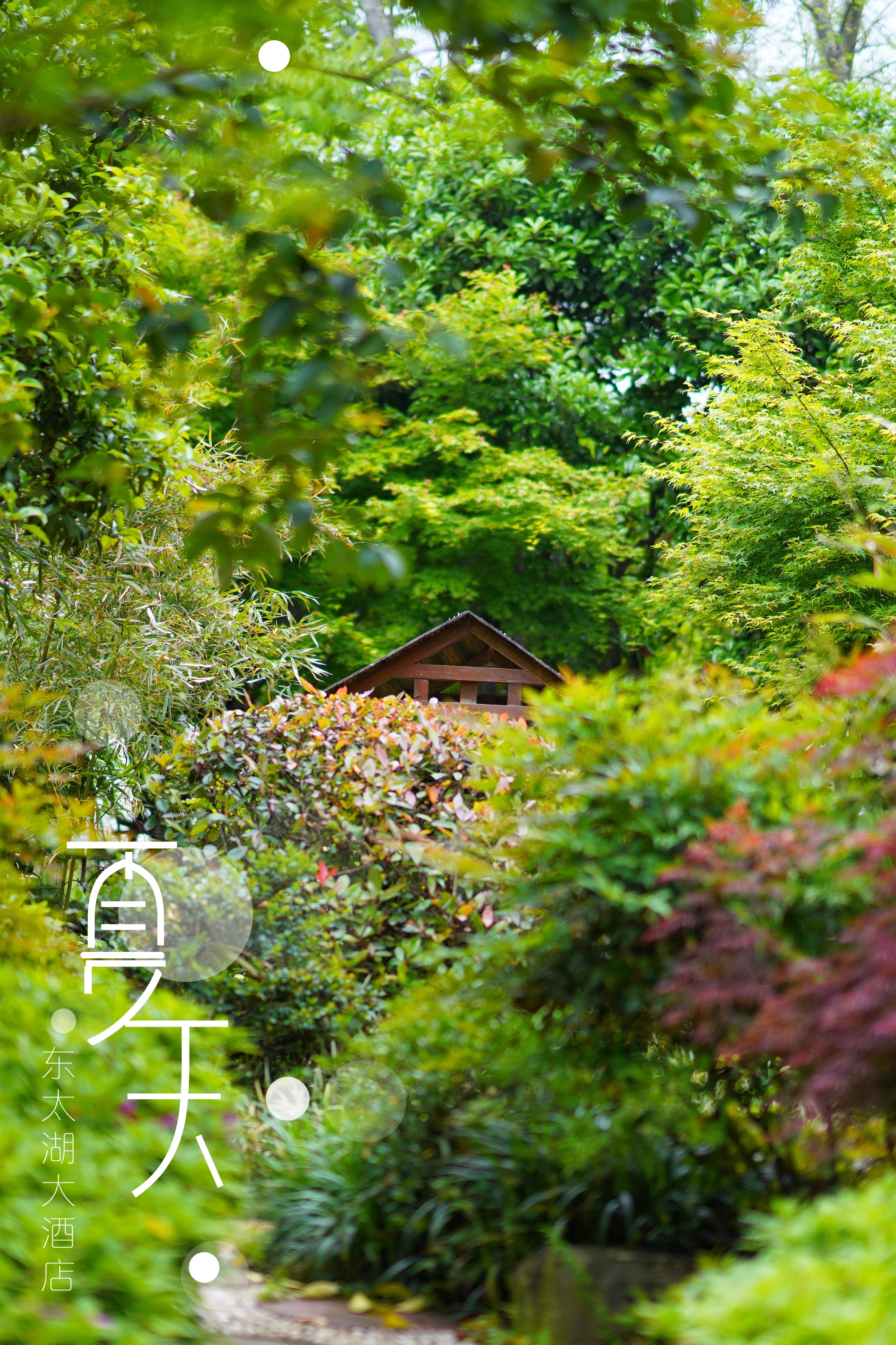 送你一份最地道的苏州逛吃攻略,苏州便宜又好看的民宿推荐