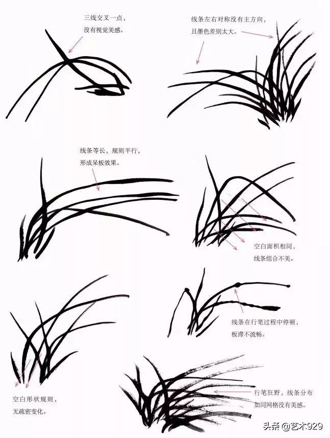 国画兰花画法免费技法教程,国画兰花绘画图