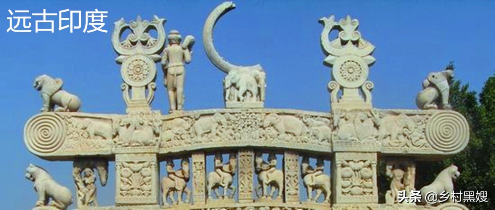 高粱的缺点,高粱为什么有点苦