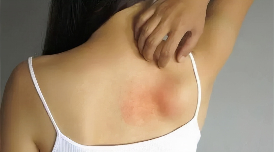 瑞迪福森净水器,rediffusion净水器旗舰店