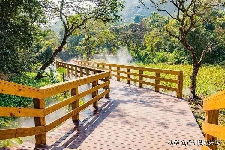 深圳最新绿道推荐,龙华环城绿道羊台山段从哪进