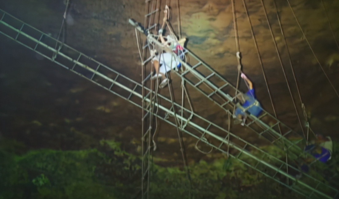 马来西亚超赚钱的工作，采金丝雀燕窝，一周能赚1000万