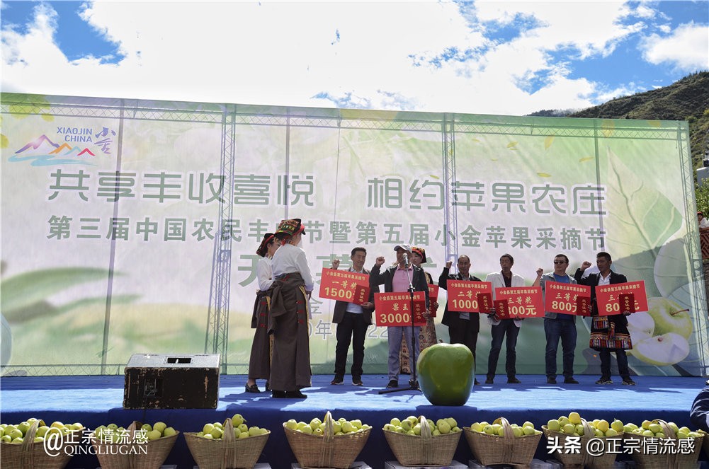 夜色成都串串爽,魅力小金苹果香#国庆中秋趣哪玩#