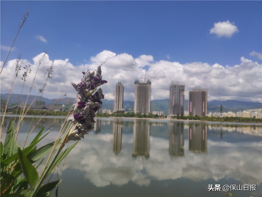 保山：绿水青山牵手“大健康”