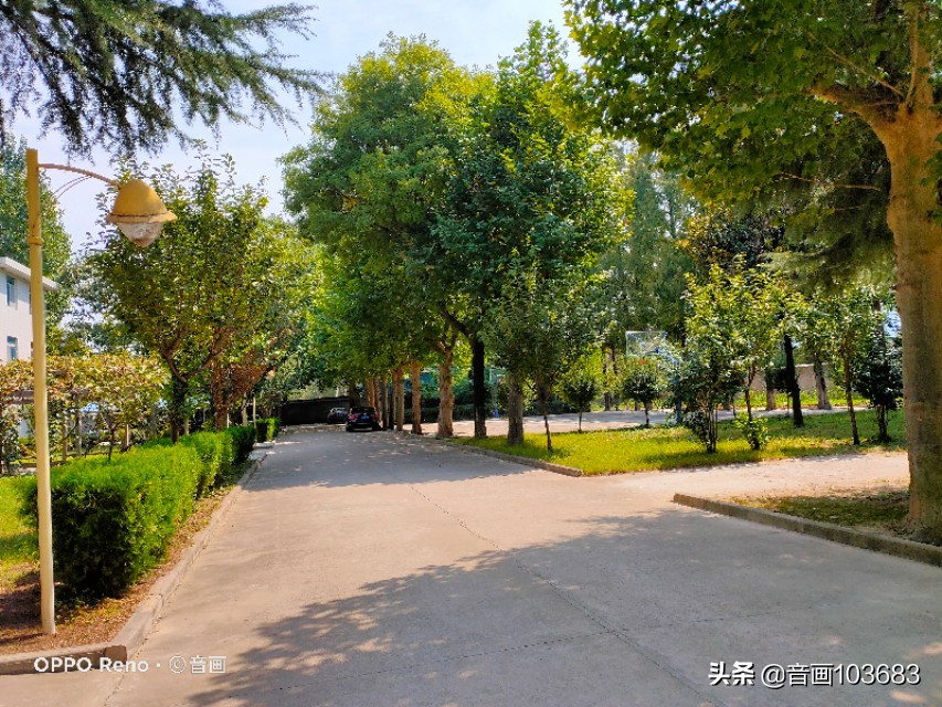 美丽的营头镇,我童年的天堂