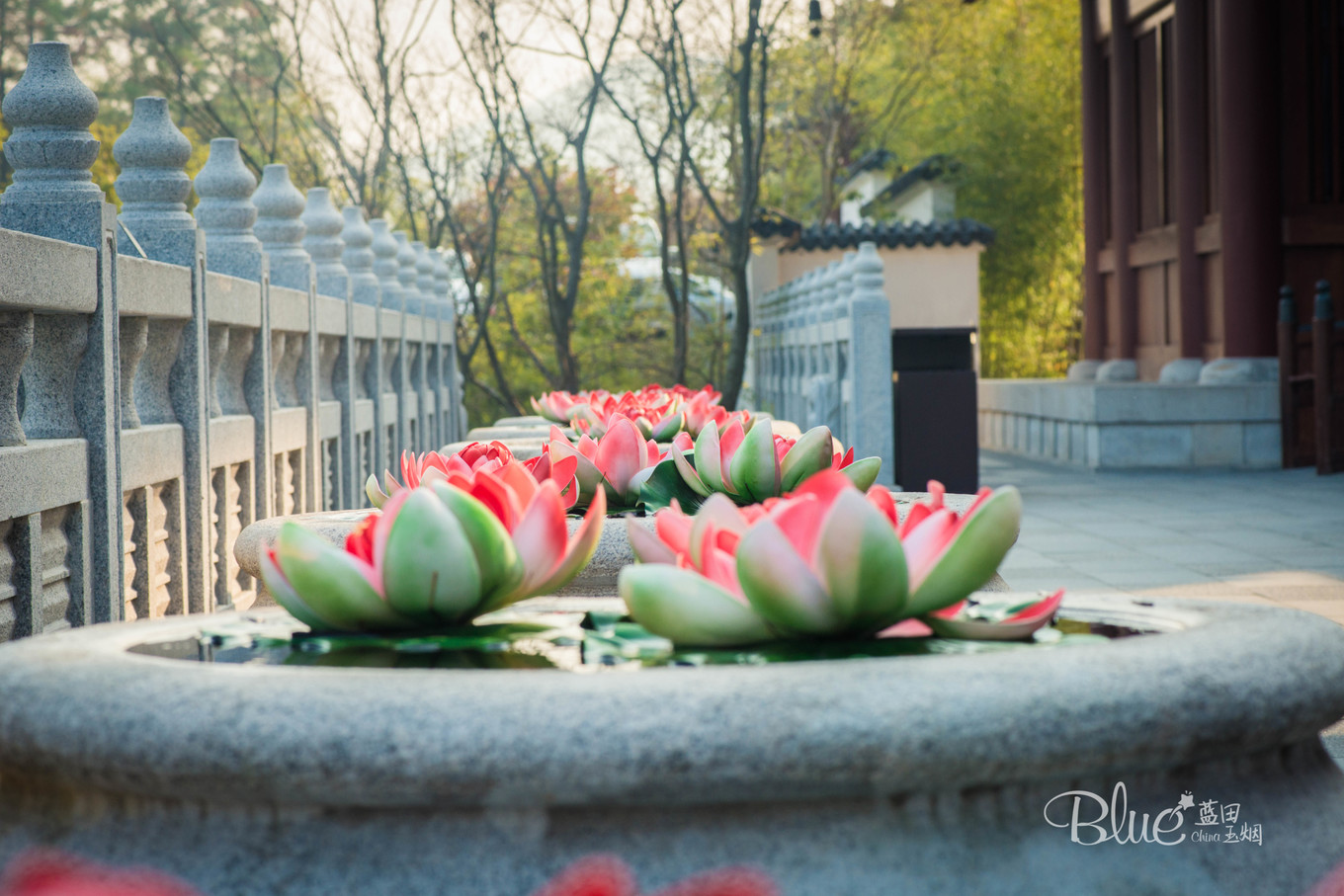 中国最美的大乘佛寺,最有灵性的古佛寺