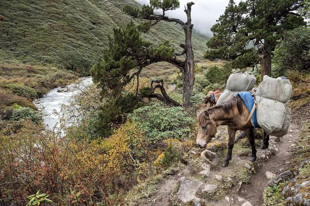 高海拔暴风雪,暴风雪徒步攀爬珠穆朗玛峰