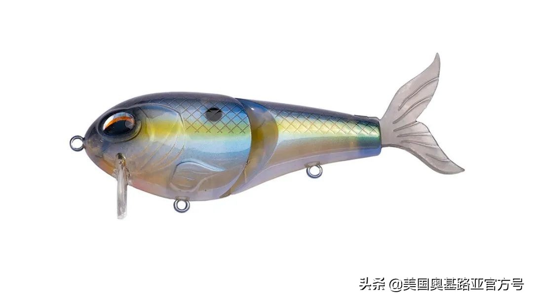 全国渔具展会2021时间表图片,2023国际渔具展会大全一览表