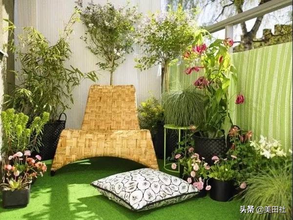 怎么样能纸上种菜,在家种菜可以做什么