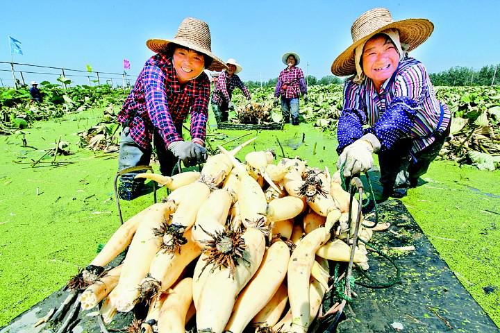 安徽当涂县百强县排名,当涂县五年规划