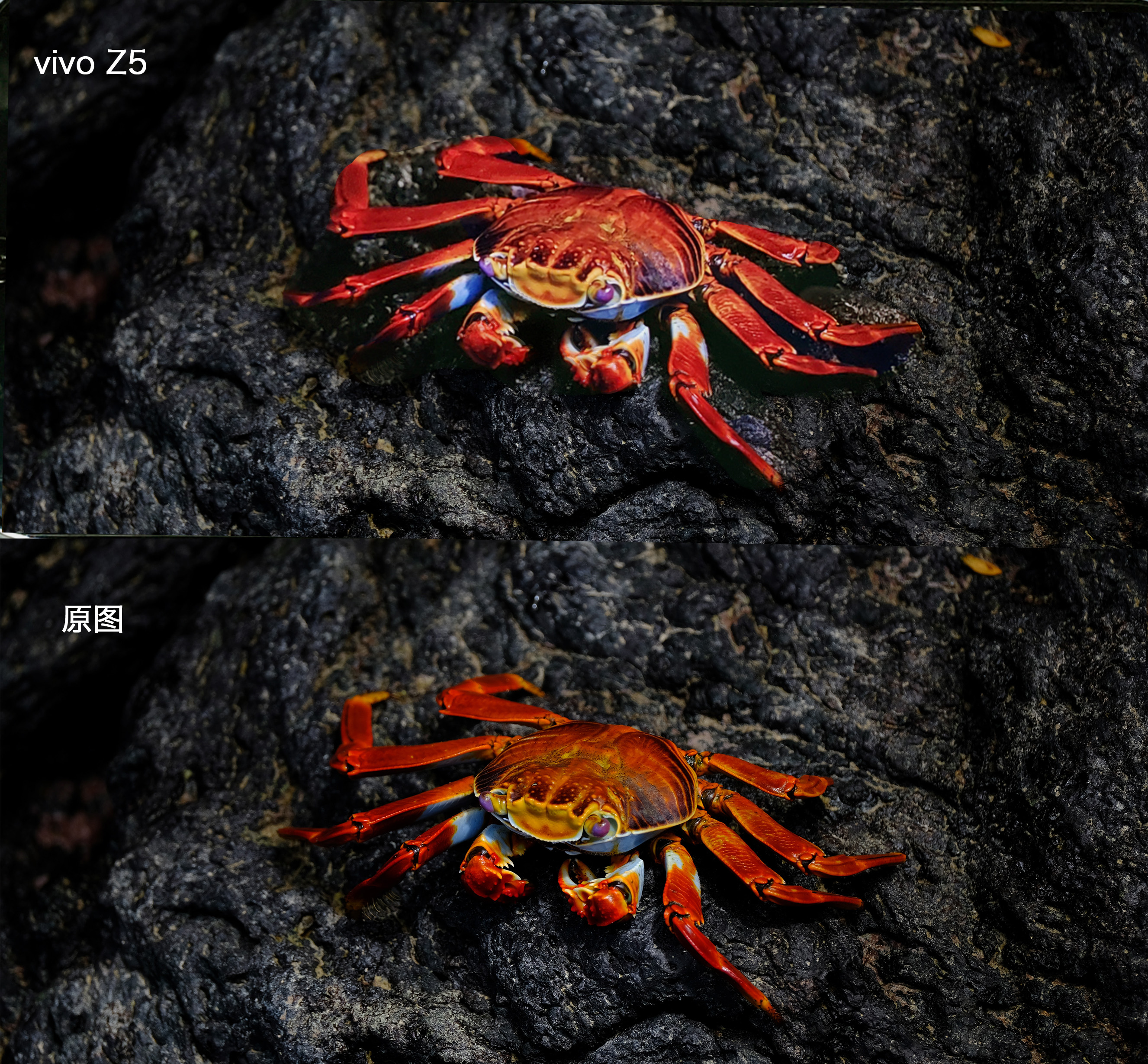 vivoz5价格为什么便宜,vivoz5值得入手吗