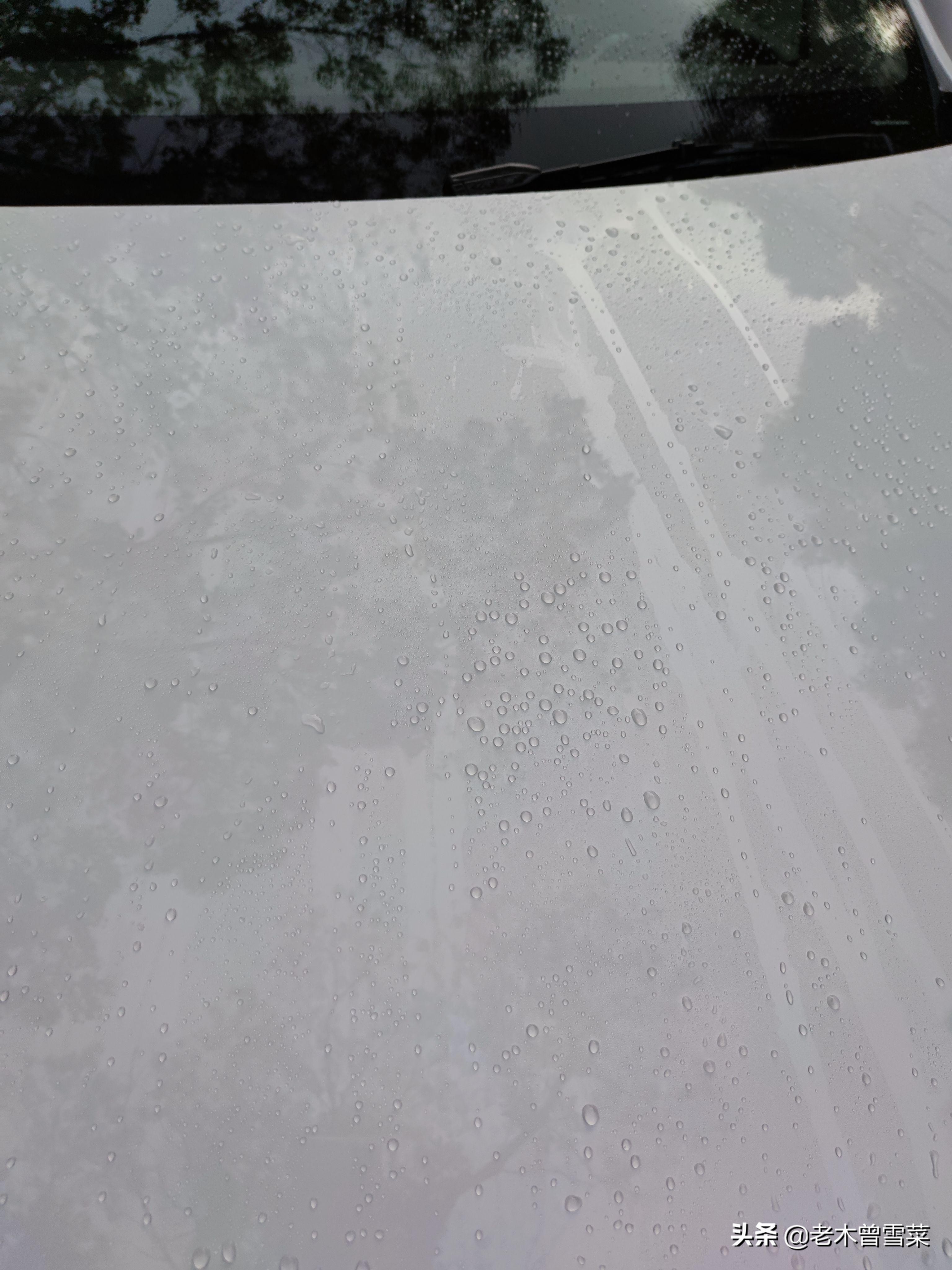 用车省钱轿车推荐,实用车品推荐