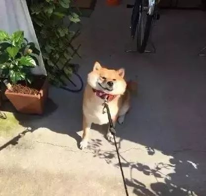 糖友的视频,糖友记录软件