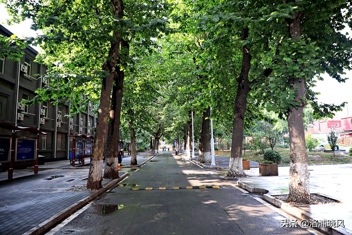 北京二外通州校区,北京二外的小语种有多好