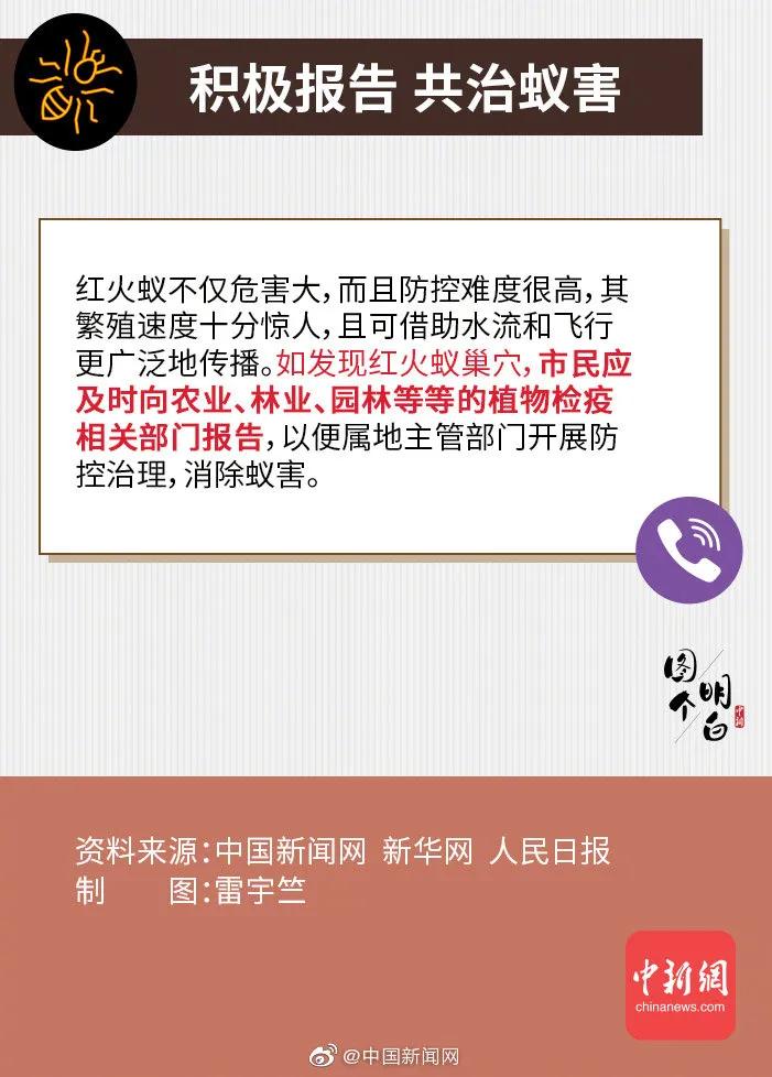 小心蚂蚁,小心红火蚁