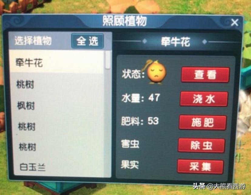 梦幻西游：杀破狼也可以用伞了？梦幻精灵的“BUG”也太多了吧