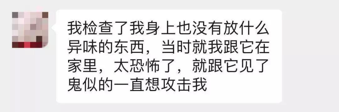 养了三年的猫突然想攻击我,养了两年的猫对我特别防备