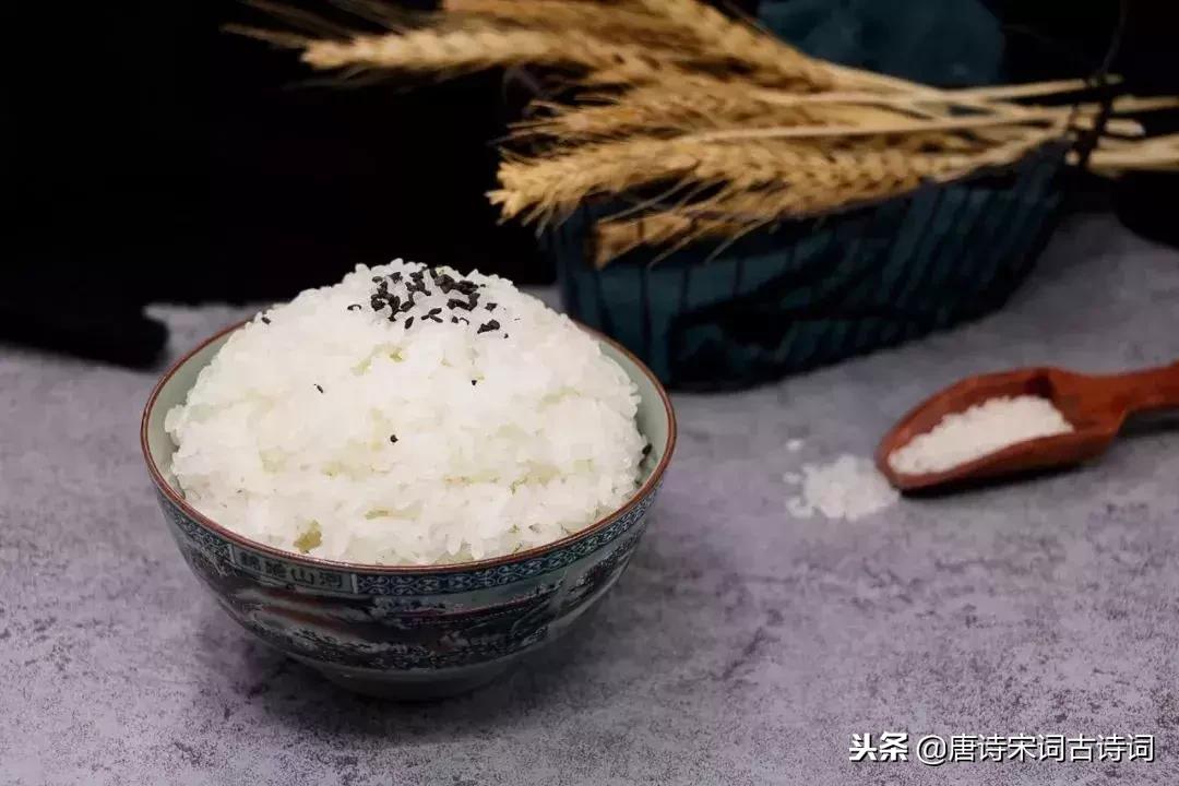 人生在世美食与诗不可辜负,人生如旅唯有美食不可辜负的诗句