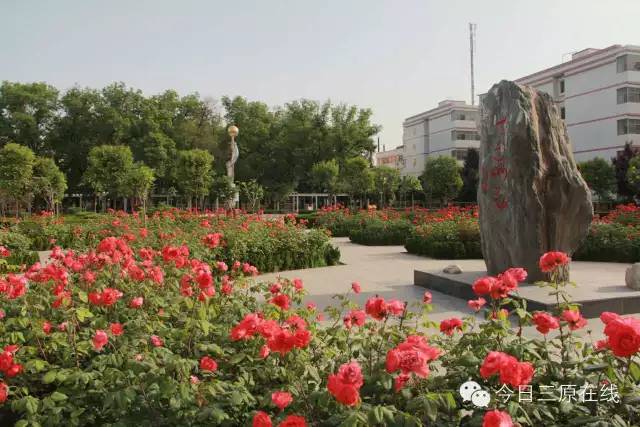 三原南郊中学简介,三原南郊中学名人