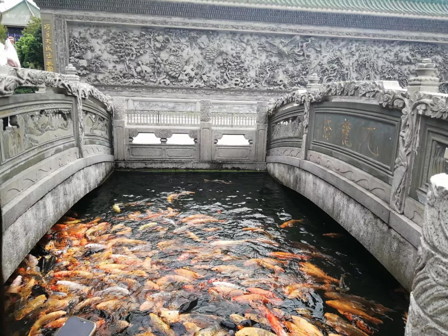 番禺南站旅游攻略,广州3号线地铁番禺旅游攻略