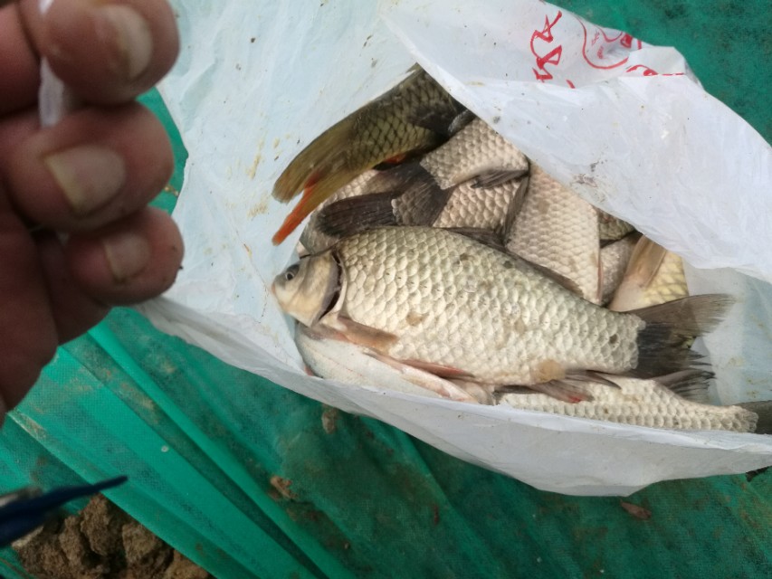 武汉冬钓钓点,武汉冬钓路亚