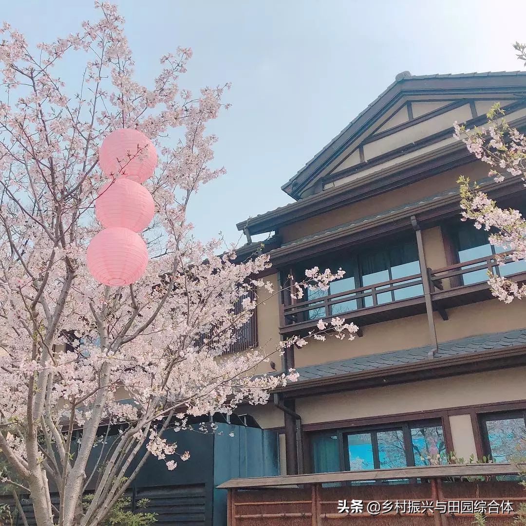 古朴悠然的禅意小镇,半农学院