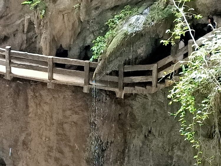 大美武隆仙女山,畅游重庆武隆区仙女山