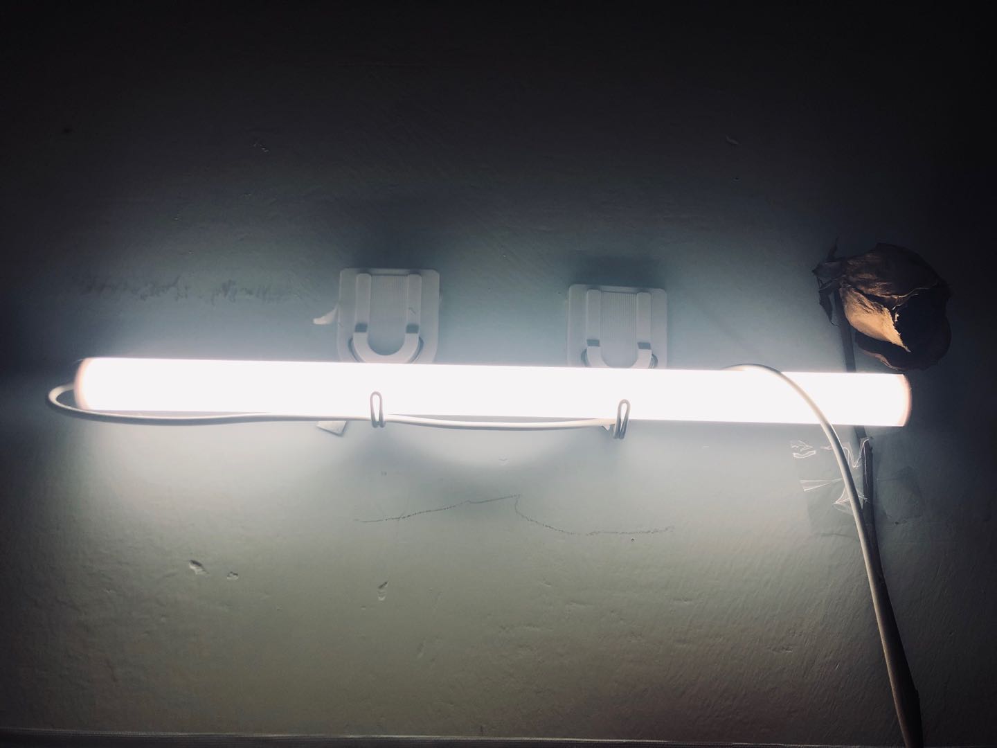 幸福感好物清单,十件提升幸福感的居家好物