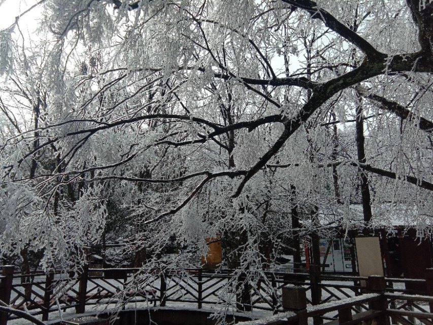 张家界天门山雪景,张家界天门山国家森林公园