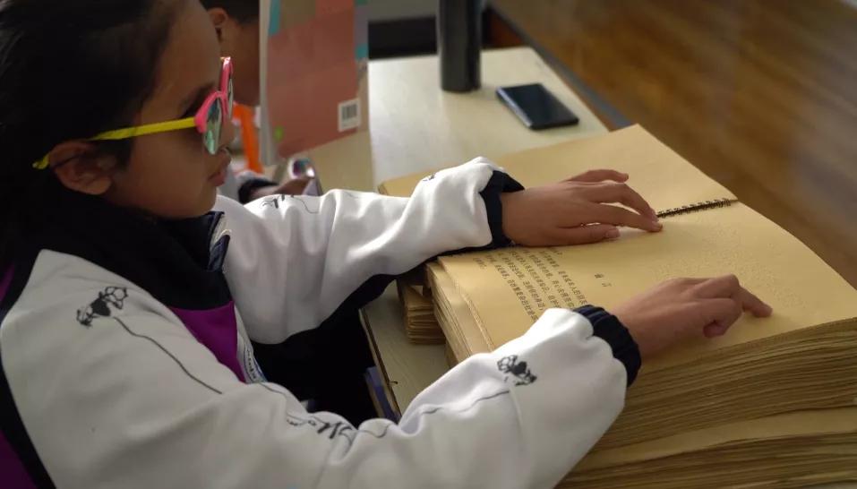 藏羚羊的惨死,藏羚羊死在车里