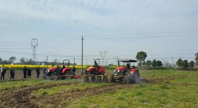 春暖花开荆州,荆州古城春暖花开视频