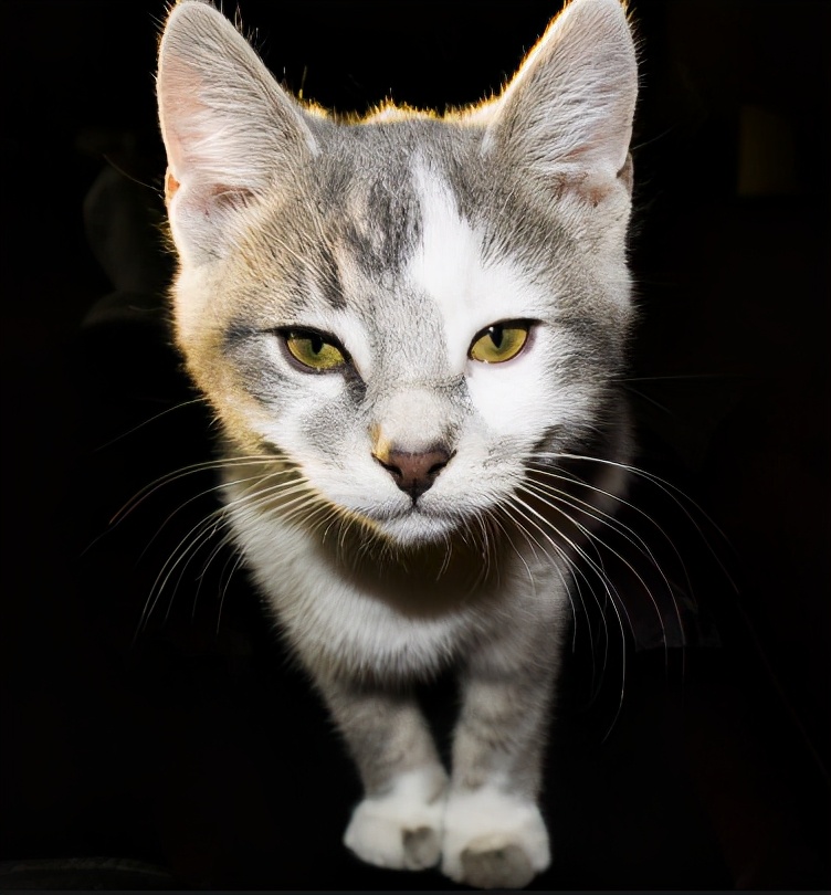 酒品酒香人生,酒品人间百味