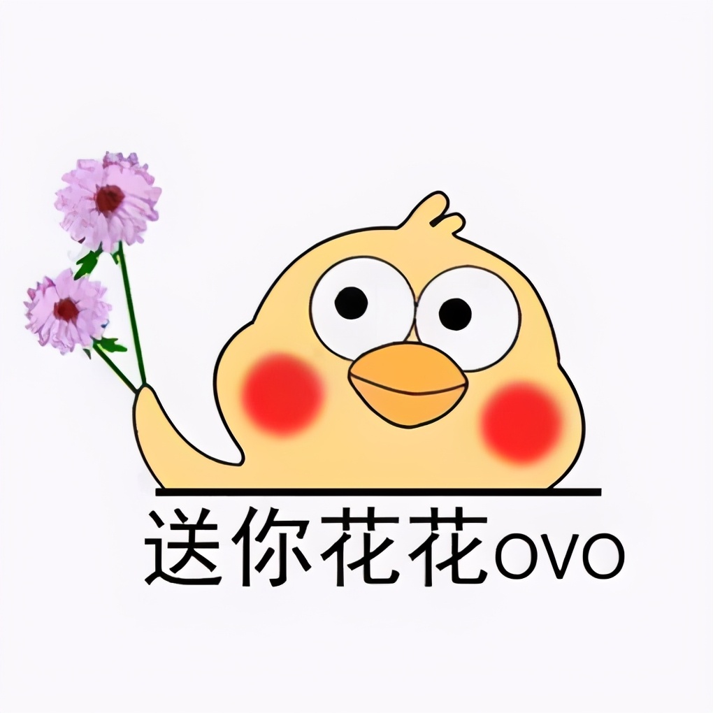 1月至12月生日花的花语,什么花语是祝福生日快乐的花