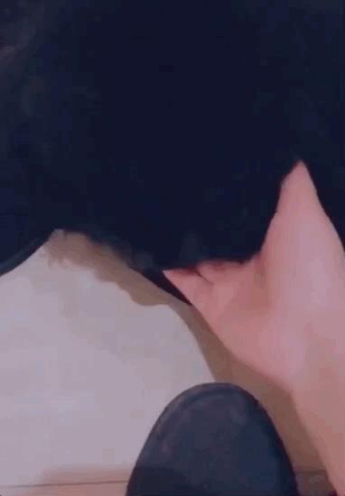 养狗是黑的好还是黄的好,养狗黑狗好吗