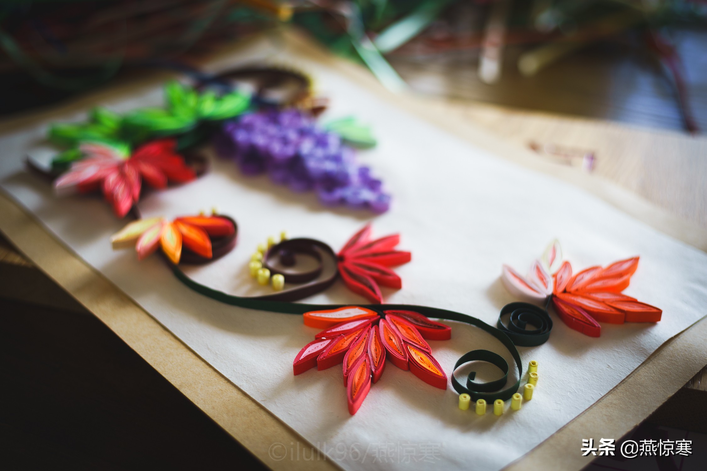 盘点一下我这些年用过的相机,回顾我用过的数码相机