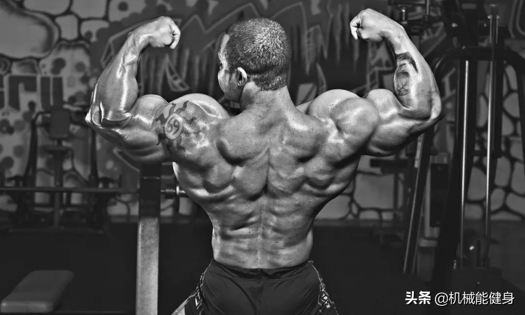 健身美背小背心一体式推荐,在健身房想练腿练哪些