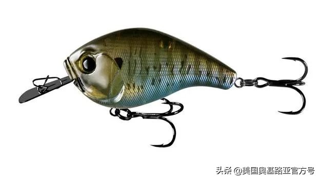 全国各地渔具展,全国渔具展2024