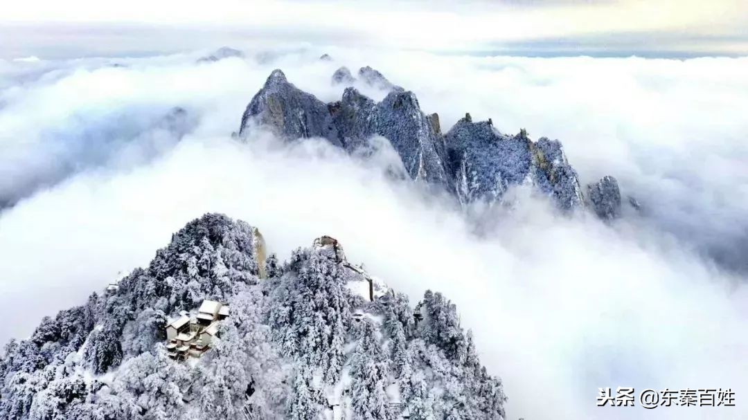 华山景区免费门票预约流程附入口,华山景区门票预约攻略最新