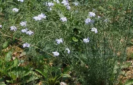 史上最全常用纺织原料,常见纺织原料